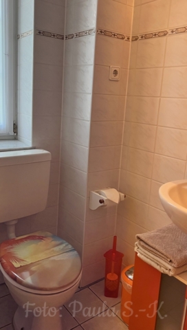 Bad mit Dusche und WC