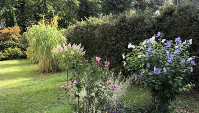 Garten der Pension Püttberge